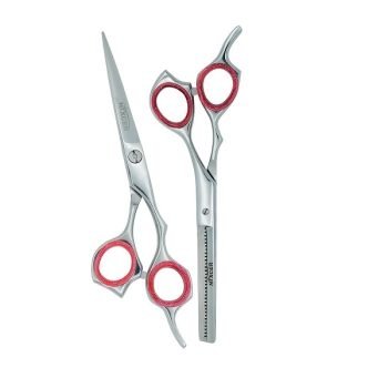 71NmqaOcg1L._AC_SX522_-1.jpg